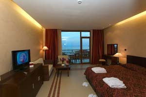 Classic double for single use with forest view, balcony, and private facilities (bath and shower)